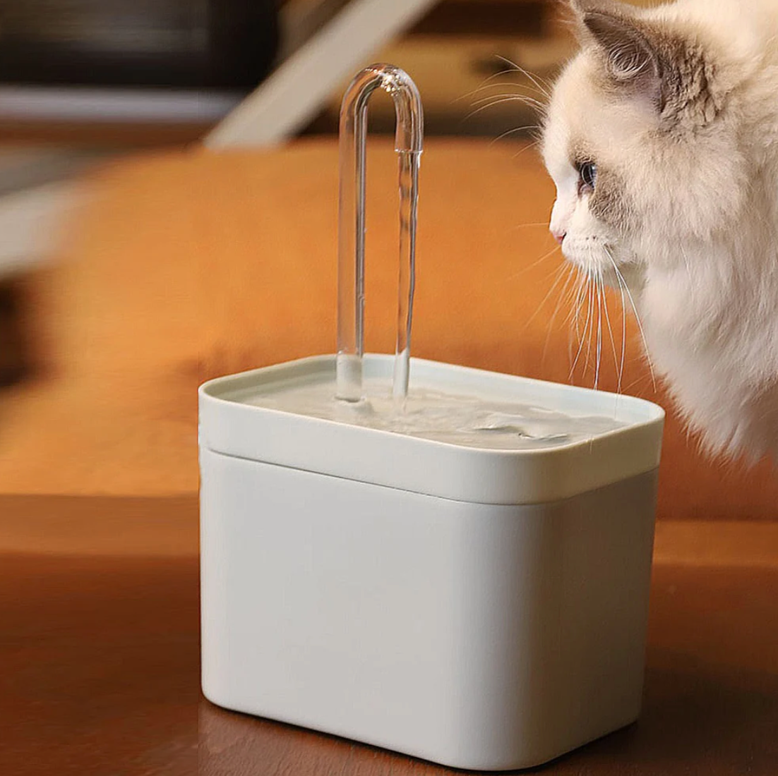 Automatic Cat Water Fountain