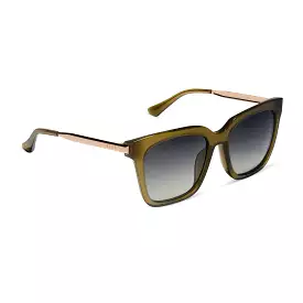 Bella Sunglasses