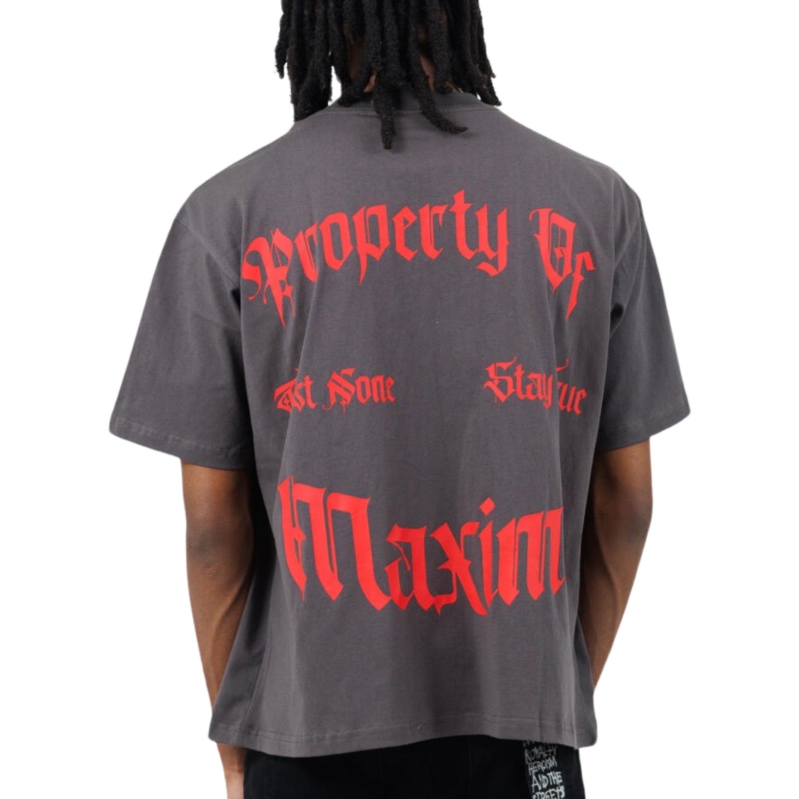 Maximo “Property Sanity” Gray Tee